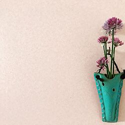 壁/天井/ピンク/ピンクの壁/寝室の一角/観葉植物のインテリア実例 - 2017-07-03 12:02:04