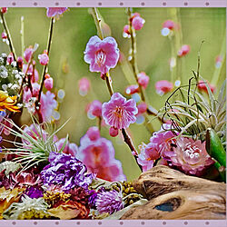 ドライフラワー♡/花のある暮らし/緑と花と暮らす/花のカレンダー/みなさんの優しさに感謝❤️...などのインテリア実例 - 2020-02-02 13:59:16
