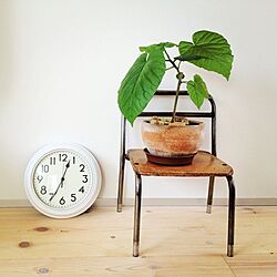 リビング/床/植物/時計/椅子のインテリア実例 - 2012-05-26 12:39:58