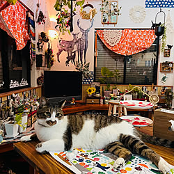 部屋全体/IKEA猫柄カーテン/ポーセラーツ/食卓に乗る猫/猫のいる部屋...などのインテリア実例 - 2023-08-13 01:10:45