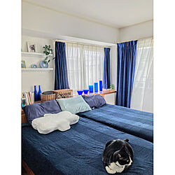 青い寝室/ブルーインテリア/ねこと暮らす/IKEA ベッドカバー/IKEA...などのインテリア実例 - 2023-06-13 20:18:01