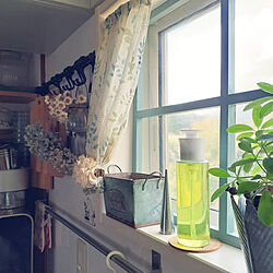 棚/片手で使える洗剤ボトル/キッチンの窓辺/窓枠DIY/観葉植物のある暮らし...などのインテリア実例 - 2021-10-10 16:03:43