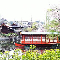 部屋全体/一人暮らし/賃貸アパート/小さな暮らし/六畳一間...などのインテリア実例 - 2017-04-15 21:52:33