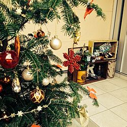 部屋全体/もみの木/おはようございます♡/お値段以上ニトリ/クリスマスツリー...などのインテリア実例 - 2013-11-28 07:20:19