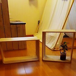 玄関/入り口/DIY/野地板DIYのインテリア実例 - 2016-04-04 19:50:30