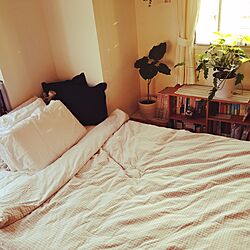 ベッド周り/ここで寝てます/観葉植物/ウンベラータ/無印良品のインテリア実例 - 2016-09-25 08:09:36