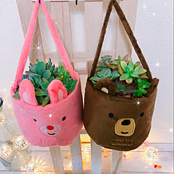 棚/いいね！コメント！うれしいです♥/多肉植物寄せ植え/ブラウンのくま♥/ピンクのうさぎ♥...などのインテリア実例 - 2018-05-30 20:09:07