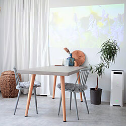 部屋全体/ダイニングテーブル/IKEA/ZARA HOME/北欧...などのインテリア実例 - 2021-05-23 10:34:38