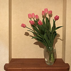 花のある暮らし/玄関/入り口のインテリア実例 - 2019-03-24 18:41:42