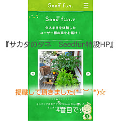 机/サカタのタネ/タネから育てる/見ていただいてありがとう(Ü)✨/植物のある暮らし...などのインテリア実例 - 2019-12-07 16:25:11