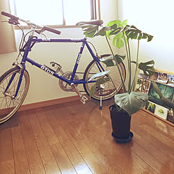 ベッド周り/風水好き/観葉植物/自転車/ナチュラル...などのインテリア実例 - 2018-06-03 09:51:47