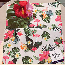 セリア ハイビスカス の商品を使ったおしゃれなインテリア実例 Roomclip ルームクリップ