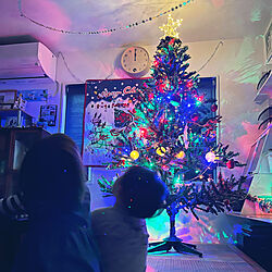 クリスマス/休日の過ごし方/子供のいる暮らし/LEDライト/100均DIY...などのインテリア実例 - 2022-12-02 00:26:03