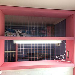 棚/ピンク/娘の部屋/娘の好み(´•ω•｀)/DIYのインテリア実例 - 2017-05-07 17:04:05