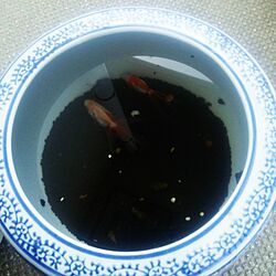 睡蓮鉢/金魚ちゃん❤のインテリア実例 - 2016-05-14 07:27:17