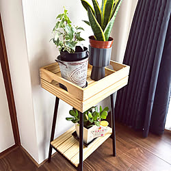 部屋全体/プラントスタンド/IKEA/観葉植物に癒やされてます✮/観葉植物置き場...などのインテリア実例 - 2023-12-08 18:58:08