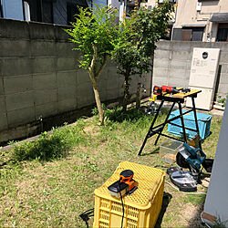 庭改造計画/庭/DIY/シマトネリコ/ガーデニングのインテリア実例 - 2021-05-11 23:30:14
