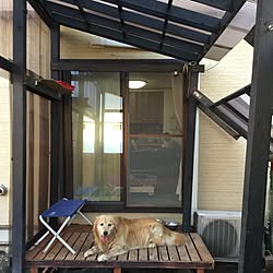 屋根つきウッドデッキ/犬と暮らす家/DIYのインテリア実例 - 2016-07-10 18:40:44