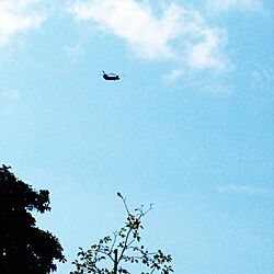 息子が乗ってます。/自衛隊のヘリコプター。/うちの庭から撮影。/インテリアじゃなくてすみません/小さく写ってますが・・。のインテリア実例 - 2016-08-07 12:50:14