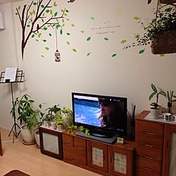 部屋全体/ウォールステッカー/観葉植物/賃貸マンション/一人暮らし...などのインテリア実例 - 2014-03-10 20:40:41