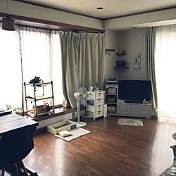 部屋全体/いいね！ありがとうございます◡̈♥︎/猫/フェイクグリーン/猫用ハンモック...などのインテリア実例 - 2016-07-06 08:48:35