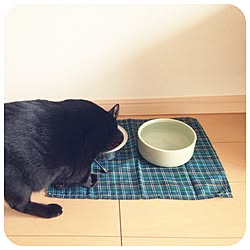 リビング/猫/猫の食事処/100均/ヘルスウォーターボウル...などのインテリア実例 - 2014-10-26 12:17:45