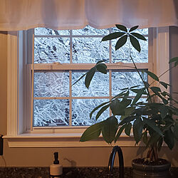 部屋全体/Kitchenの窓から/Kitchenの窓から見える風景/雪景色の庭/コ-ナ-窓...などのインテリア実例 - 2021-01-28 21:28:03