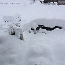 雪のインテリア実例 - 2014-02-15 19:01:29