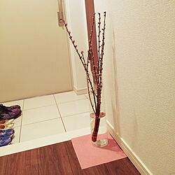 玄関/入り口/切り花のインテリア実例 - 2017-03-05 22:06:00