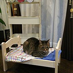 ベッド周り/IKEAワゴン/IKEA人形ベッド/IKEA 雑貨のインテリア実例 - 2016-09-22 19:05:52
