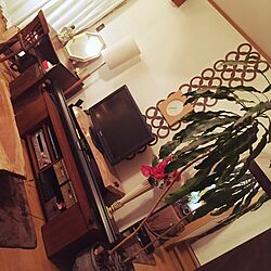 部屋全体/DIY/カフェ風/100均/観葉植物のインテリア実例 - 2016-01-20 19:36:40