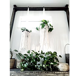 玄関/入り口/建売住宅/コメントお気遣いなく♡/植物のある暮らし/靴箱リメイク...などのインテリア実例 - 2021-03-10 19:45:27