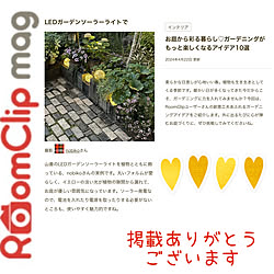 部屋全体/夜の庭/フォロワーさんに感謝♥/RoomClip mag 掲載/ガーデニング...などのインテリア実例 - 2024-04-22 20:25:44