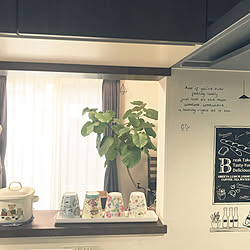 キッチン/DAISO コップ/キャンドゥ キッチン壁用シート/ウンベラータのインテリア実例 - 2018-12-15 22:20:14
