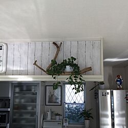 棚/流木ディスプレイ/IKEA/シンプルインテリア/観葉植物のインテリア実例 - 2017-01-03 10:45:09