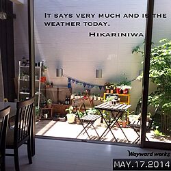 部屋全体/ガーデニング/いいお天気♡/green/植物...などのインテリア実例 - 2014-05-17 07:39:56