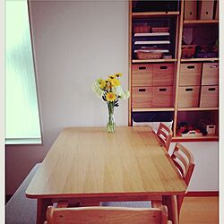 リビング/植物/無印良品/IKEA/作り付け収納棚のインテリア実例 - 2014-05-25 15:57:50