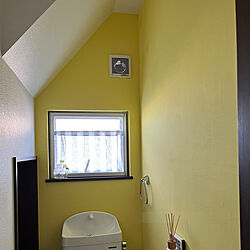 壁/天井/DIY/漆喰壁DIY/ひとりで塗れるもん/塗り壁材のインテリア実例 - 2024-02-26 18:33:47
