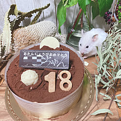 ハムスター/ドライフラワーのある暮らし/birthday cake/グリーンのある暮らし/賃貸...などのインテリア実例 - 2020-09-24 22:29:35