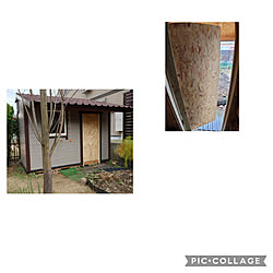 部屋全体/DIY/庭　小屋DIY/小屋DIY /小屋　扉のインテリア実例 - 2022-12-04 22:01:48