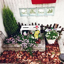 玄関/入り口/お花/DIY/植物/手作り...などのインテリア実例 - 2016-05-06 13:19:45