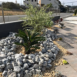 そてつ/植物のある風景/植物園化 計画！/植物のある暮らし/外構まだまだ...などのインテリア実例 - 2020-01-05 22:24:42