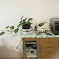 キッチン/観葉植物のインテリア実例 - 2016-02-20 16:29:18