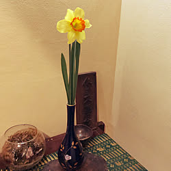 花瓶のお花/お花のある暮らし/玄関棚ディスプレイ/玄関/入り口のインテリア実例 - 2021-01-27 22:05:38
