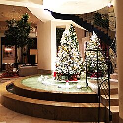玄関/入り口/クリスマスツリー/ロビー/ホテル/クリスマス...などのインテリア実例 - 2015-12-25 21:38:11