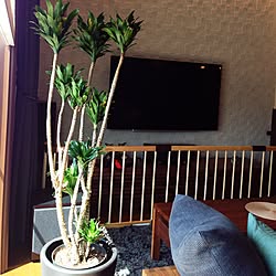 リビング/植物ダメにならないかドキドキ…/ファルスカ/4Kテレビ/サブウーファー...などのインテリア実例 - 2015-03-31 10:57:20