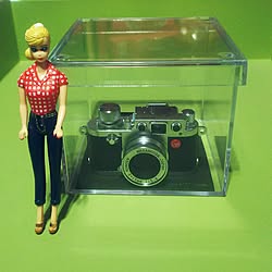 棚/骨董品/Leicaミニチュアカメラ/いいねコメありがとう(〃∇〃)/築60年...などのインテリア実例 - 2017-02-22 20:26:20