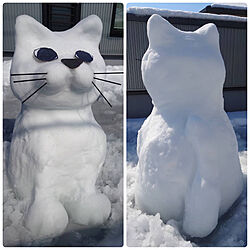 猫だるま/雪だるま/壁/天井/猫雪だるま/雪あそび...などのインテリア実例 - 2022-02-11 17:23:17