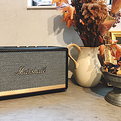 Marshall Acton/Marshall Speaker/Marshall/アートのある部屋/ヨーロッパに憧れる...などのインテリア実例 - 2020-07-15 23:18:24