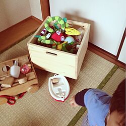 リビング/おもちゃのインテリア実例 - 2013-05-03 00:21:24